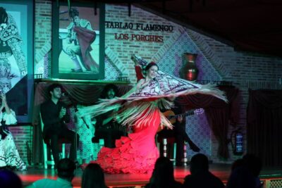 Madrid: Los Porches Flamenco Show with Tapas and Wine Ticket - Inside the 3-Stage Venue: How the Night Stays Interesting