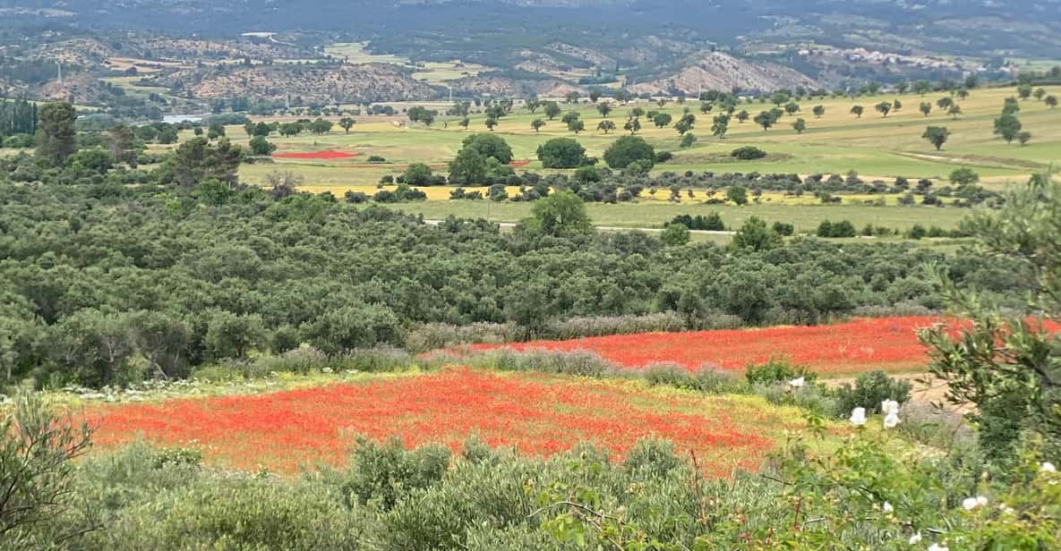 Madrid: Unspoiled Spain for Foodies & Nature ❤️’s - Time to breathe: village wandering and photo stops