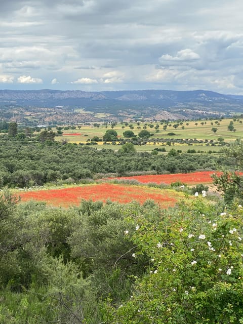 Madrid: Unspoiled Spain for Foodies & Nature ❤️’s - Zorita de los Canes: the tiny village beneath the castle
