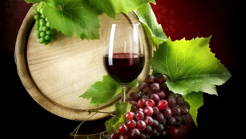 Madrid Wine Tasting, Flamenco Class and Pub Crawl - What to Bring and How to Prepare for the 18+ Part