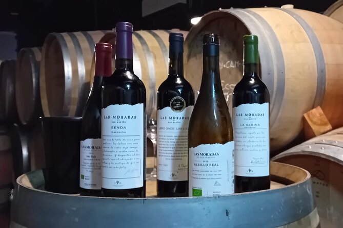 Madrid Wine Tour: Visit Two Wineries with Tastings - Winery 1: Modern production tour and a three-wine tasting with snacks