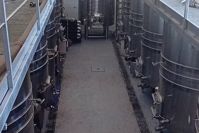 Madrid Wine Tour: Visit Two Wineries with Tastings - Michael’s guiding style (and why it matters at tastings)