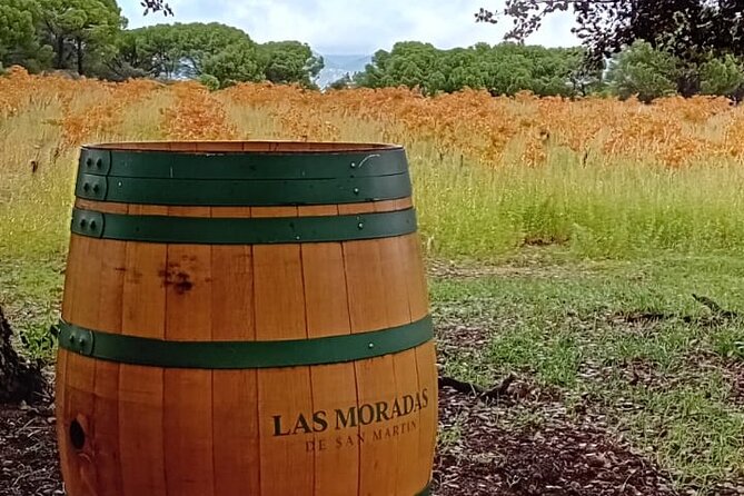 Madrid Wine Tour: Visit Two Wineries with Tastings - Who this tour suits best (and who might skip it)