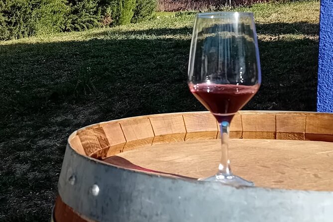 Madrid Winery Tour with Tasting and Sommelier Guide - Getting to Madrid’s wine scene without the hassle