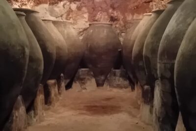Madrid Winery Tour with Tasting and Sommelier Guide - Stop 3: Return drive to Madrid