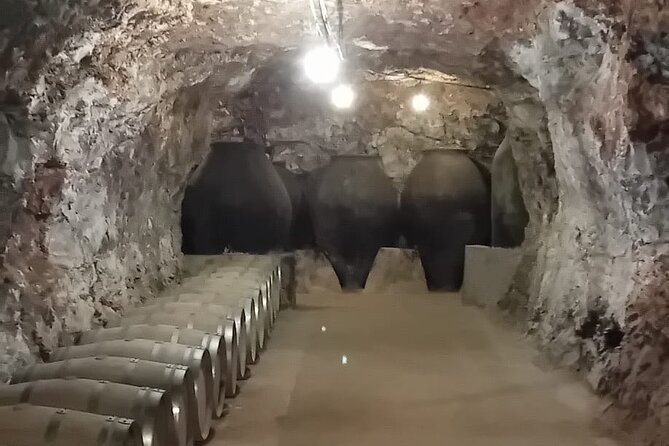 Madrid Winery Tour with Tasting and Sommelier Guide - Logistics that make or break winery tours