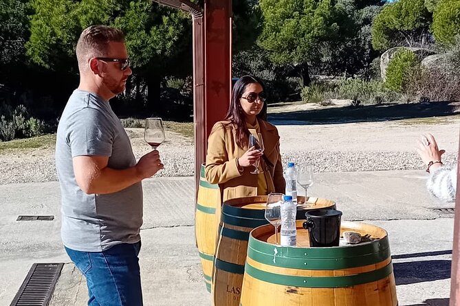 Madrid Winery Tour with Tasting and Sommelier Guide - What the itinerary feels like in real life