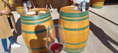 Madrid Winery Tour with Tasting & Sommelier Guide - The Coach Ride Out: What to Expect in the 1-Hour Stretch