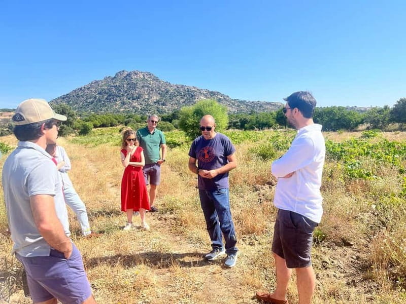 Madrid Winery Tour with Tasting & Sommelier Guide - Learning to Taste: How the Tasting Works