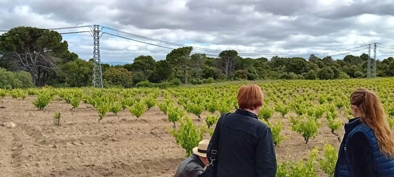 Madrid Winery Tour with Tasting & Sommelier Guide - Group Size, Vibe, and the Best Moment to Ask Questions