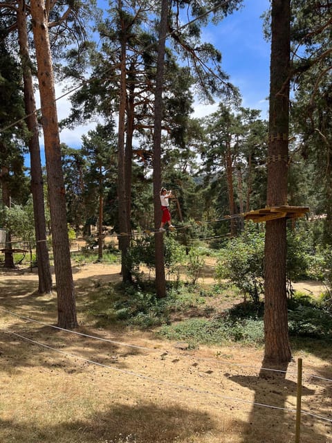 Madrid: Zip line circuits high in the trees - What You Do for 3 Hours: Zip Lines and Tree-Top Aerial Games