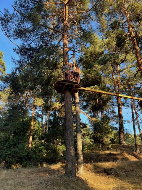 Madrid: Zip line circuits high in the trees - Friendly Instruction in English, Spanish, and French