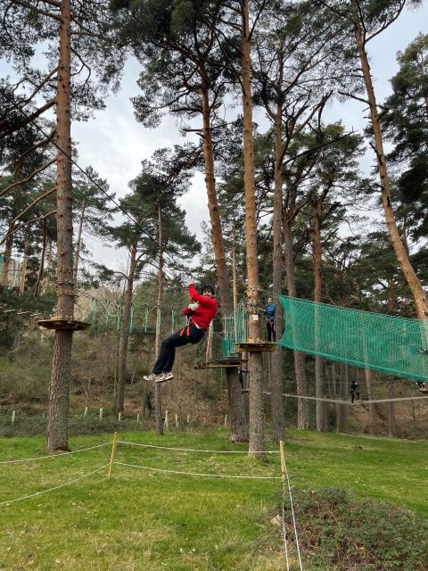 Madrid: Zip line circuits high in the trees - Who This Is Best For (and Who Should Skip)