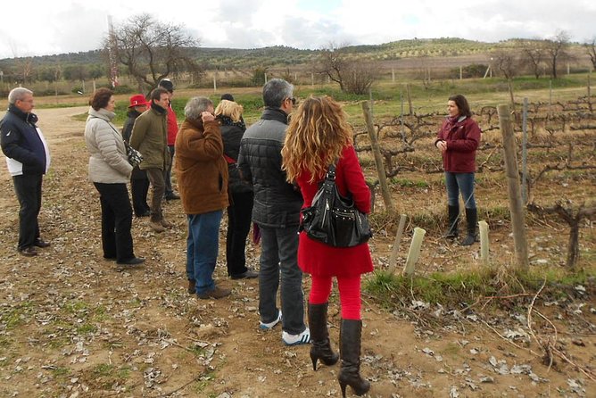 Medieval Castles, Wineries Experience with Tasting from Madrid - Your Flexible Afternoon: Castles, Medieval Towns, or Cathedrals