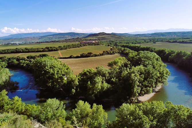 Premium Tour to Ribera del Duero with Wnologist Guide - Key takeaways before you go