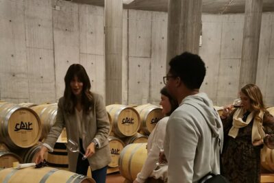 Premium Tour to Ribera del Duero with Wnologist Guide - Stop 1: Bodegas Dominio de Cair and the barrel tasting in the subway cellar