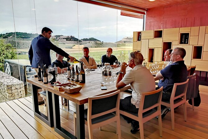 Premium Tour to Ribera del Duero with Wnologist Guide - The guide experience: what Enrique’s style adds to the day