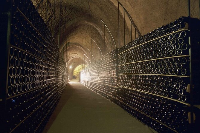 Premium Tour to Ribera del Duero with Wnologist Guide - Price and what $480.56 gets you in real terms