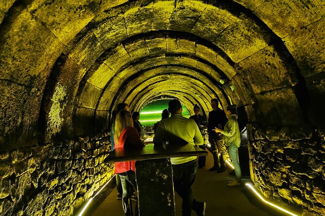 Premium Tour to Ribera del Duero with Wnologist Guide - Who this Ribera del Duero day trip fits best
