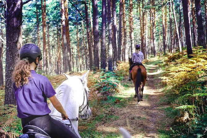 Private Horse Ride in Madrid natural park reserve - Key highlights at a glance