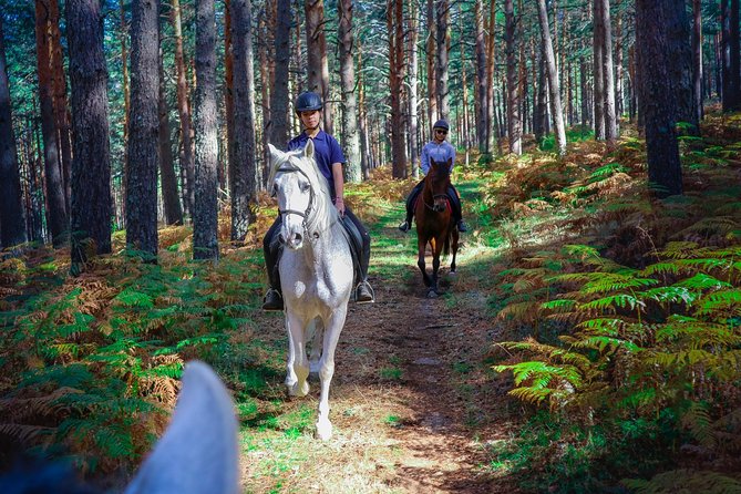 Private Horse Ride in Madrid natural park reserve - Entering the Sierra del Guadarrama from Los Molinos