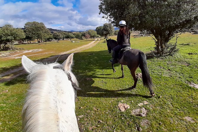 Private Horse Ride in Madrid natural park reserve - Comfort, fitness, and horse-riding reality checks