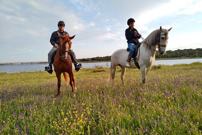 Private Horse Ride in Madrid natural park reserve - How the ride adapts to your level (so you’re not stuck with the wrong pace)