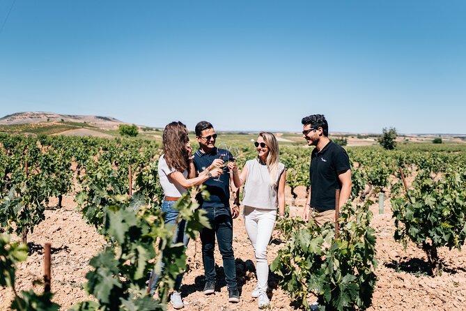 Private Segovia & Ribera del Duero with Wine Tasting from Madrid - Key Points That Matter