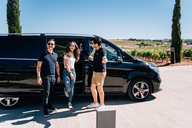Private Segovia & Ribera del Duero with Wine Tasting from Madrid - The Winery Experience: Three Wines and a Real Reason to Pay Attention