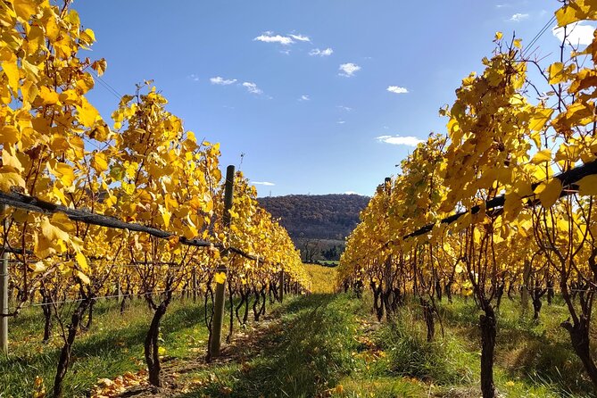 Private Tour & Lunch Of Underground Winery & Countryside Estate - Tasting Extras: Local Tapas, Olive Oil Moments, and the Soap Gift
