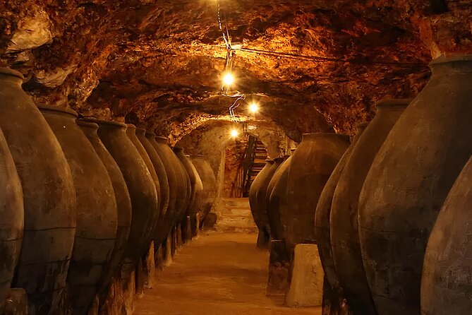 Private Tour & Lunch Of Underground Winery & Countryside Estate - Lunch by the Tajuña River: Seafood or Vegan Paella at Waterfall View