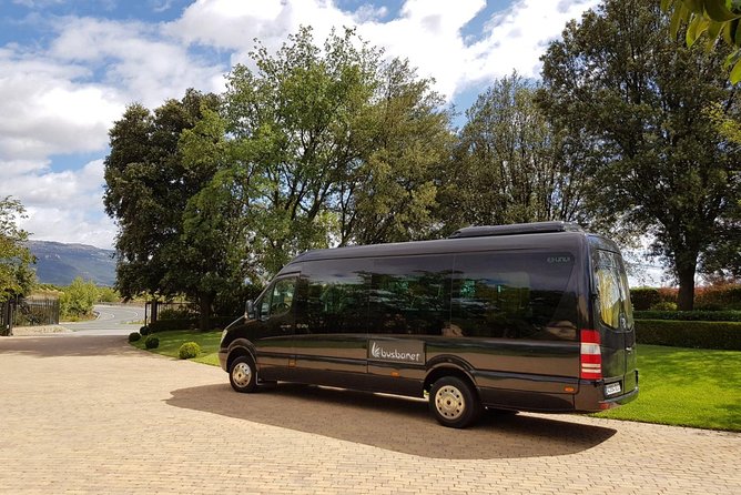 Private Transfer Madrid Barajas Airport to Madrid in Vans up to 7 Passengers - Who should book this Madrid Barajas van transfer?