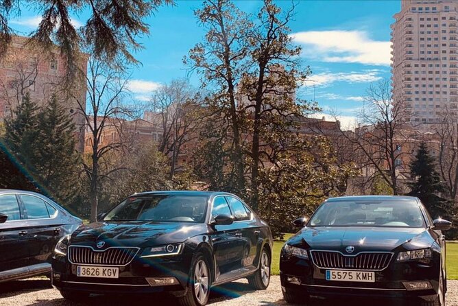 Private Transportation from Madrid Airport to City Center - Should You Book This Private Madrid Airport Transfer?