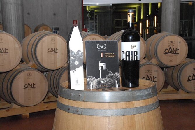 Private Wine Tasting And Visit Tour in Ribera Duero - Madrid to Ribera del Duero: the long stretch that sets the tone