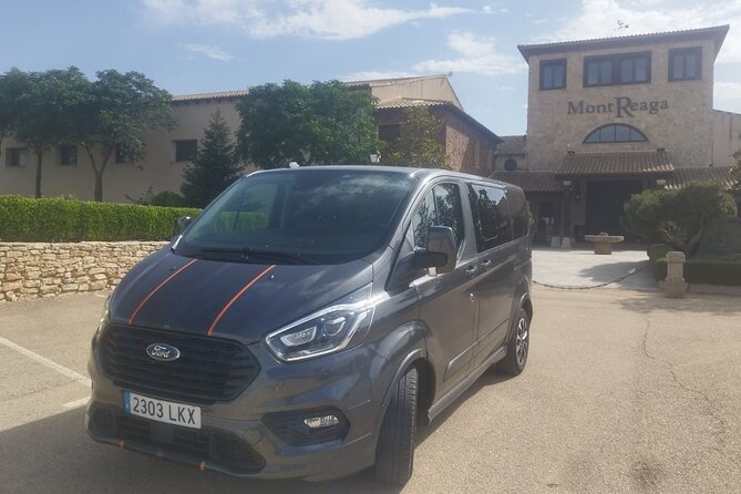 Private Wine Tasting And Visit Tour in Ribera Duero - Stop 2: caves, cellars, and why Ribera del Duero feels different