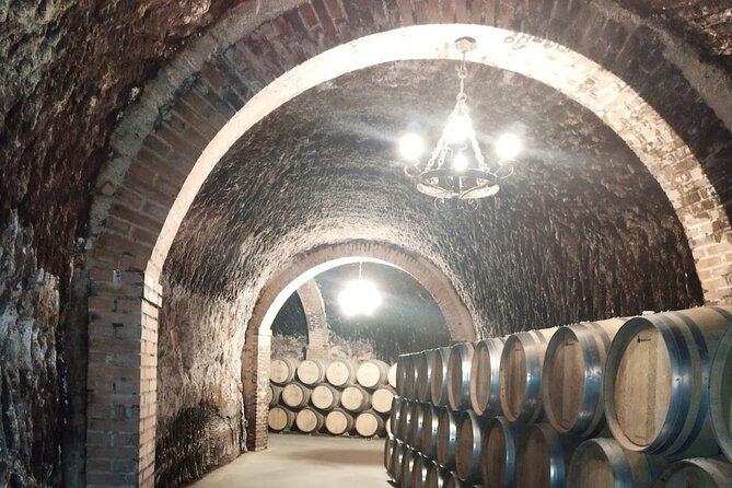 Private Wine Tasting And Visit Tour in Ribera Duero - Wine tasting in this tour style: more than a flight