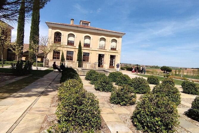 Private Wine Tasting And Visit Tour in Ribera Duero - Price and value: what $374.45 is really buying
