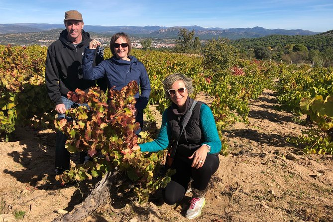 Private Winery Tour near Madrid with Sommelier (6-hour) - Price and what you really get for $495 per person