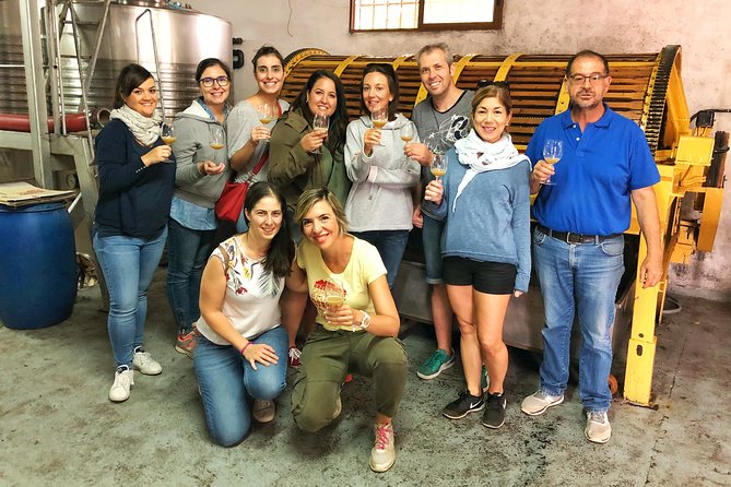 Private Winery Tour near Madrid with Sommelier (6-hour) - Stop 1 in Belmonte de Tajo: vines, terroir talk, and tapas outdoors