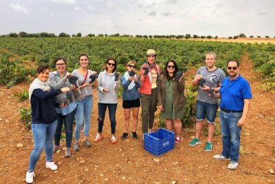Private Winery Tour near Madrid with Sommelier (6-hour) - Morning pickup at 9:00 am: how to plan your day