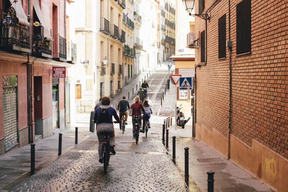 Rent a Bike in Madrid -Free phone holder and selfguided tour - Templo de Debod and Retiro Park: viewpoints and a real break