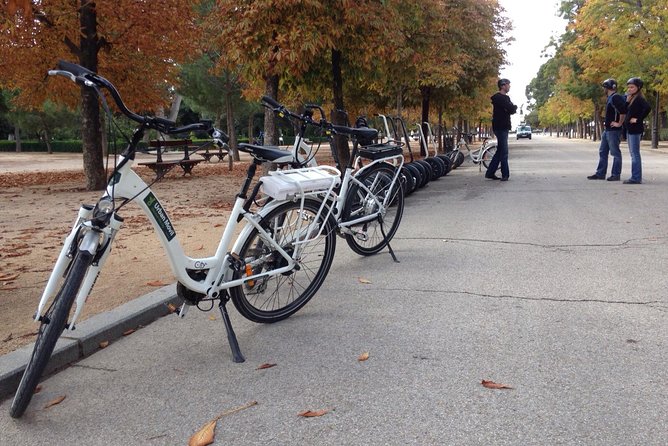 Retiro Park bike tour- Get transported to the XVI century - Retiro Park by bike: turning royal grounds into your playground