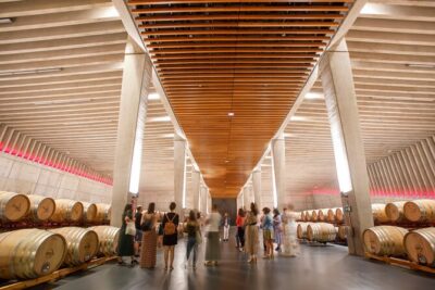 Ribera and Rioja Wineries Private Tour from Madrid - Stop 1 in Ribera del Duero: Burgos-area cellar time and a classic lesson