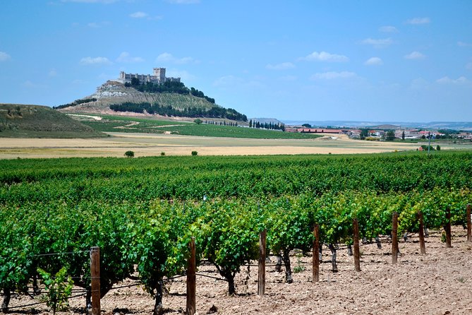 Ribera del Duero Small Group Tour: Tapas & Wine Tasting - Madrid to Ribera del Duero: pickup, timing, and how the day flows