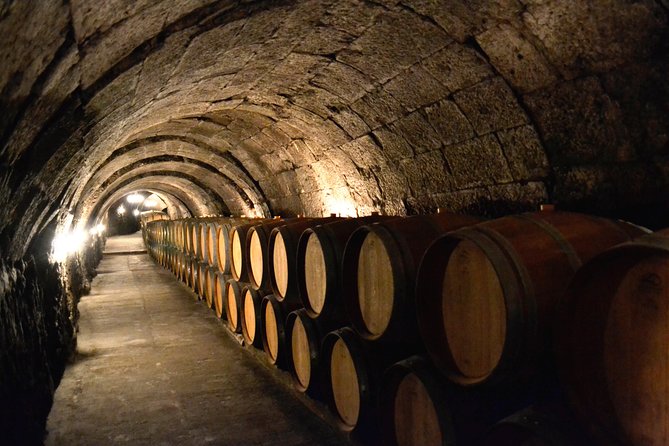 Ribera del Duero Small Group Tour: Tapas & Wine Tasting - Four winery stops and 12 wines: what you’ll actually experience