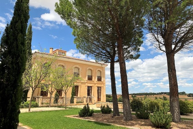 Ribera del Duero Small Group Tour: Tapas & Wine Tasting - Price and value: why $288 can make sense (and when it might not)