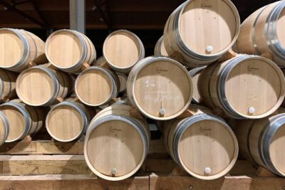 Ribera del Duero Small Group Tour: Tapas & Wine Tasting - The guide experience: friendly, professional, and tied to the wineries