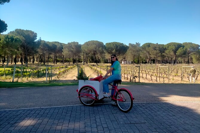 Ribera del Duero Tour: Three Wineries and Lunch from Madrid - Getting to Ribera del Duero from Madrid: the early start payoff