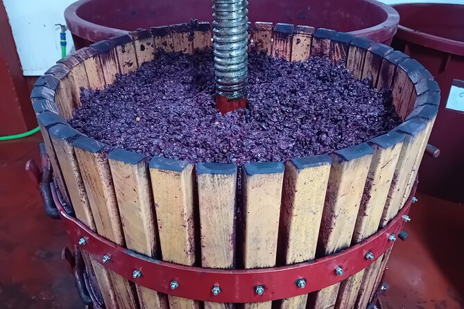 Ribera del Duero Tour: Three Wineries and Lunch from Madrid - Lunch in Ribera del Duero: lechazo or a picnic between vines