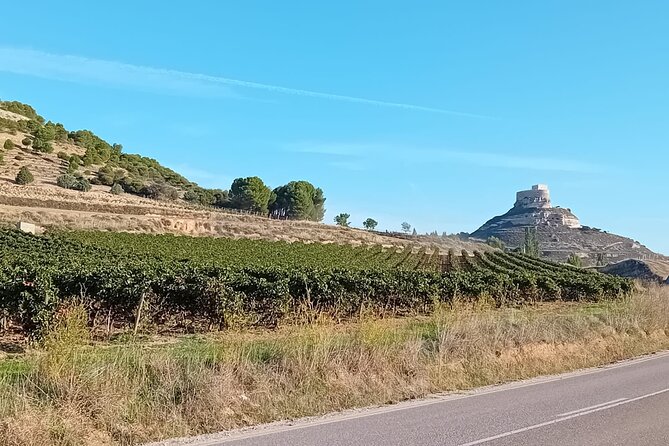 Ribera del Duero Tour: Three Wineries and Lunch from Madrid - How Michael runs the day: calm pacing and real Q&A